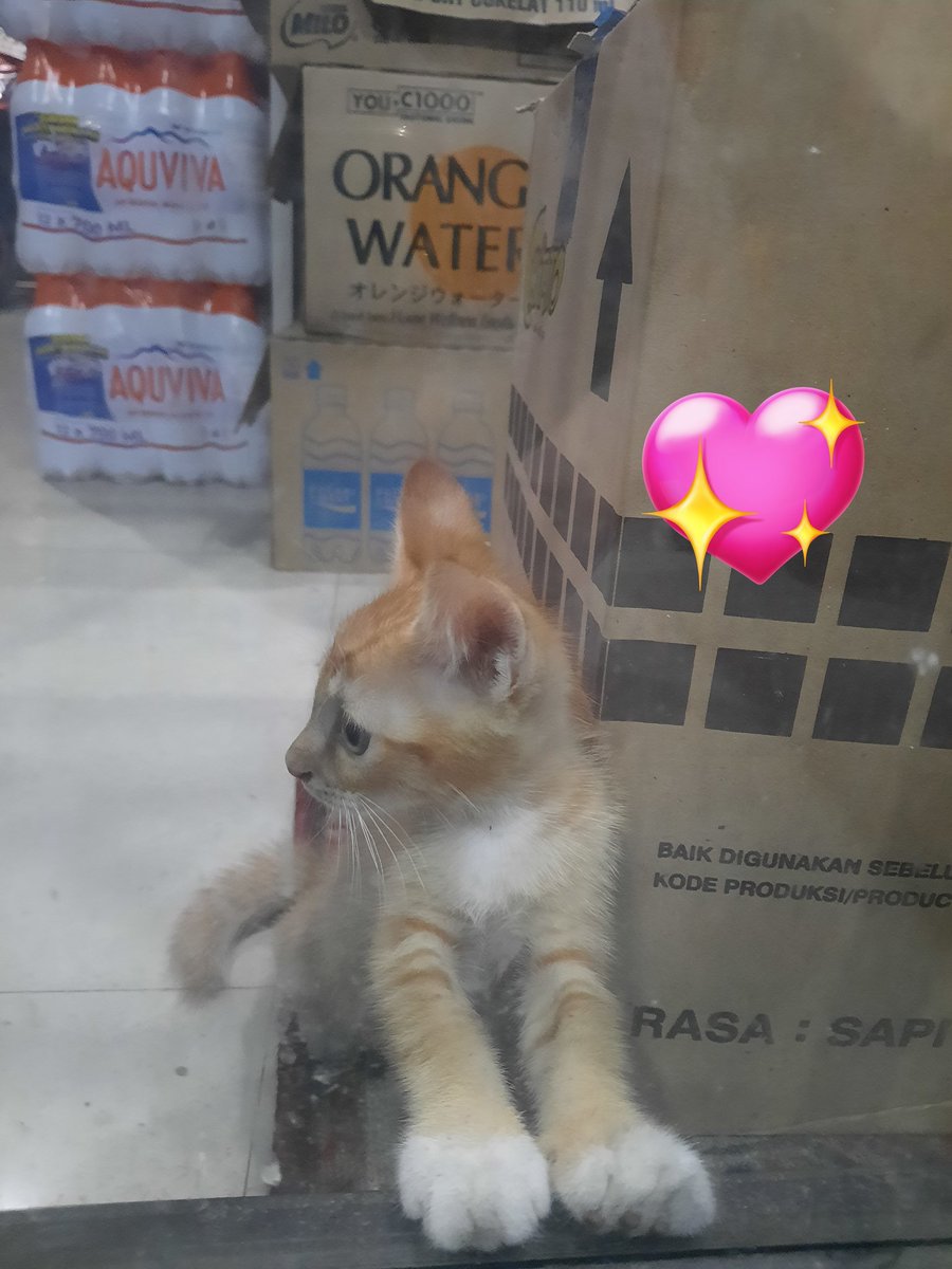 Chi♡ tweet media
