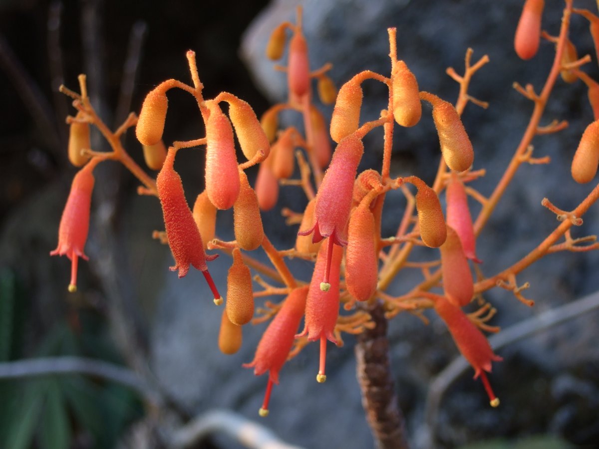 Tomoki SANDO tweet media