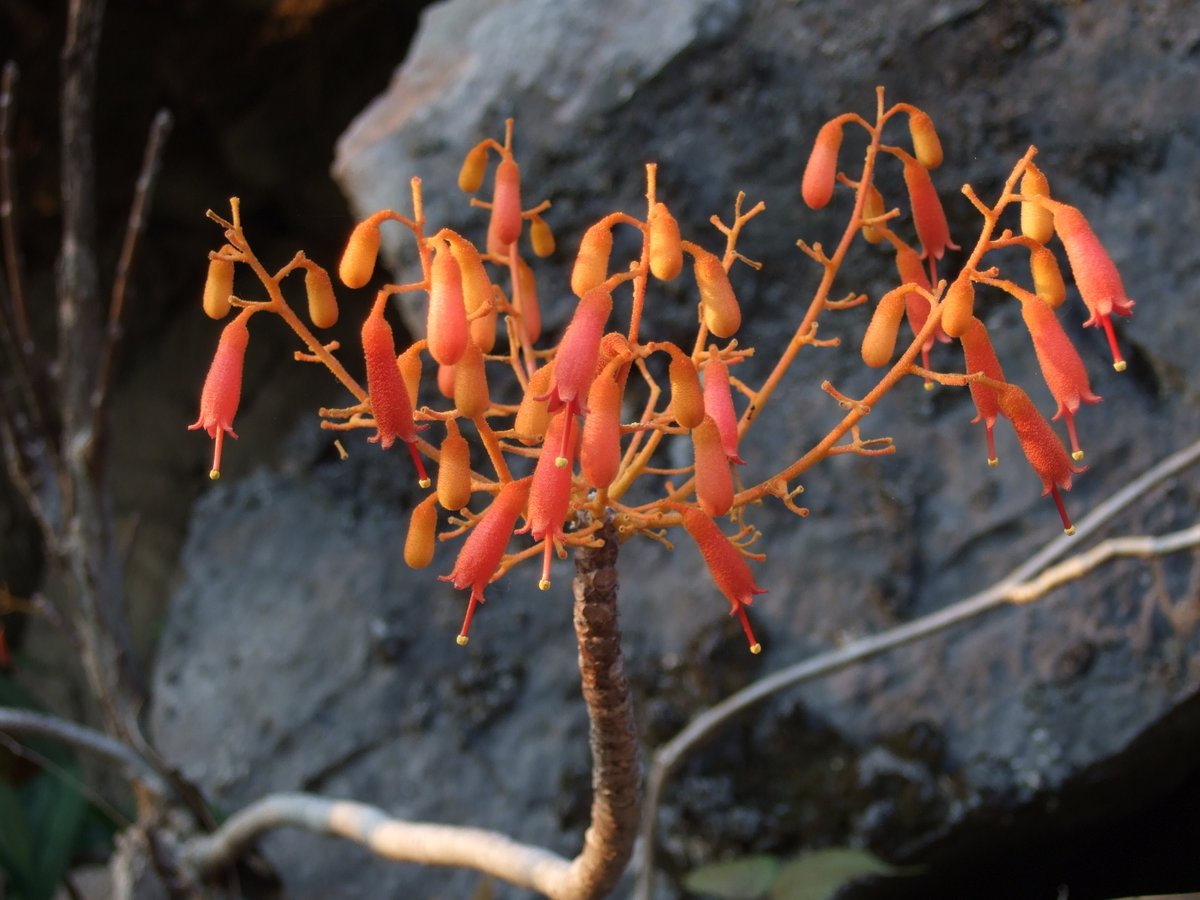 Tomoki SANDO tweet media