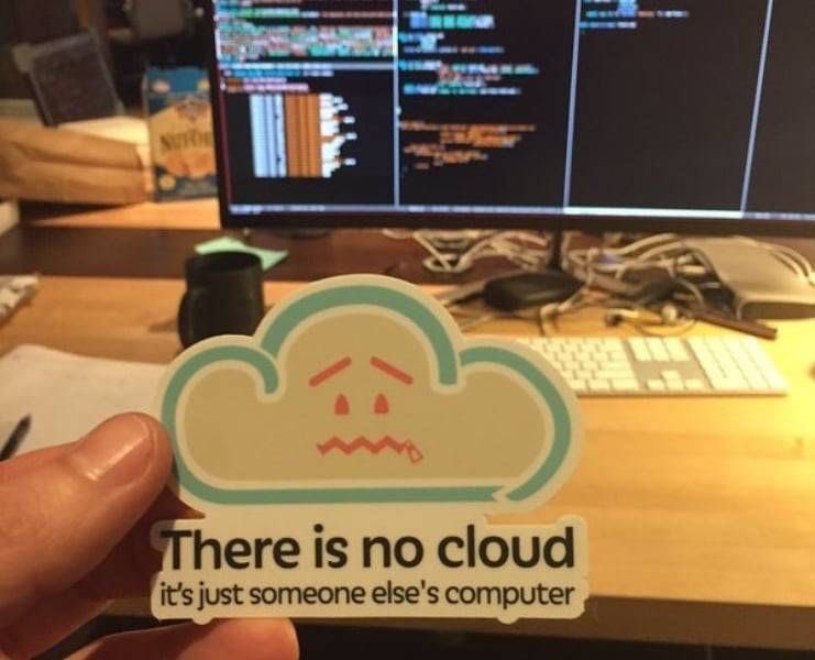 Zinny 🎀 tweet media