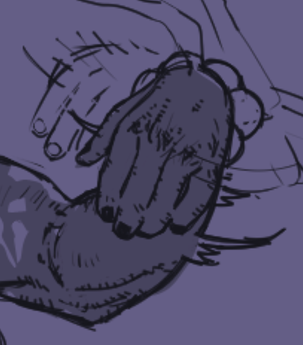 pnchbowl's tweet photo. 💖😍🥰hands 🤗😳💖 https://t.co/h3hunHtzgp