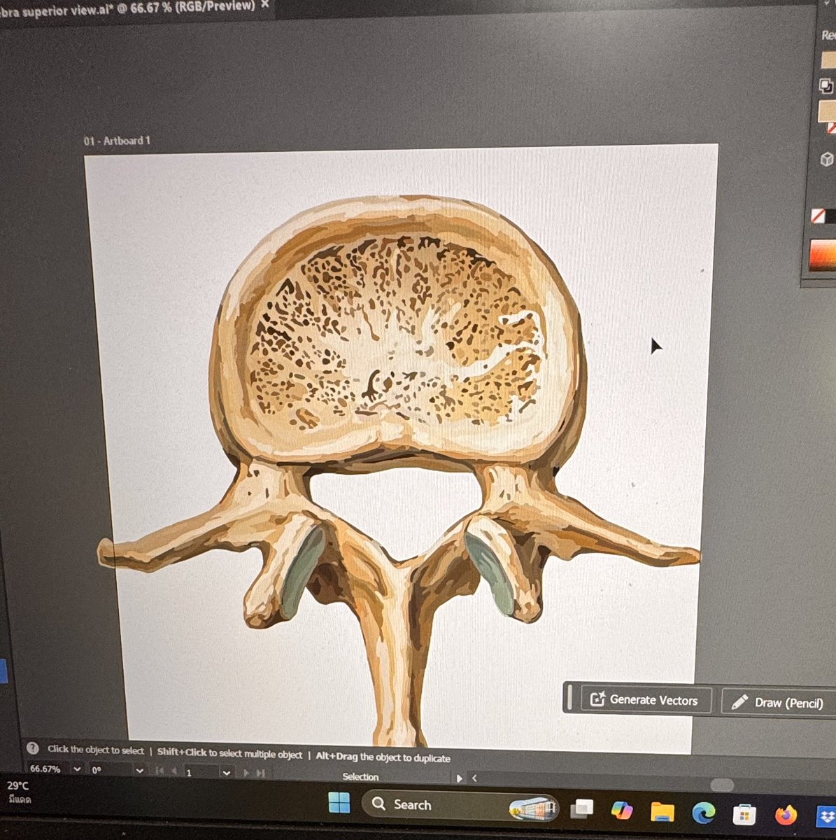 ᴠɪʀɪᴅɪʟɪᴀ²⁹ tweet media