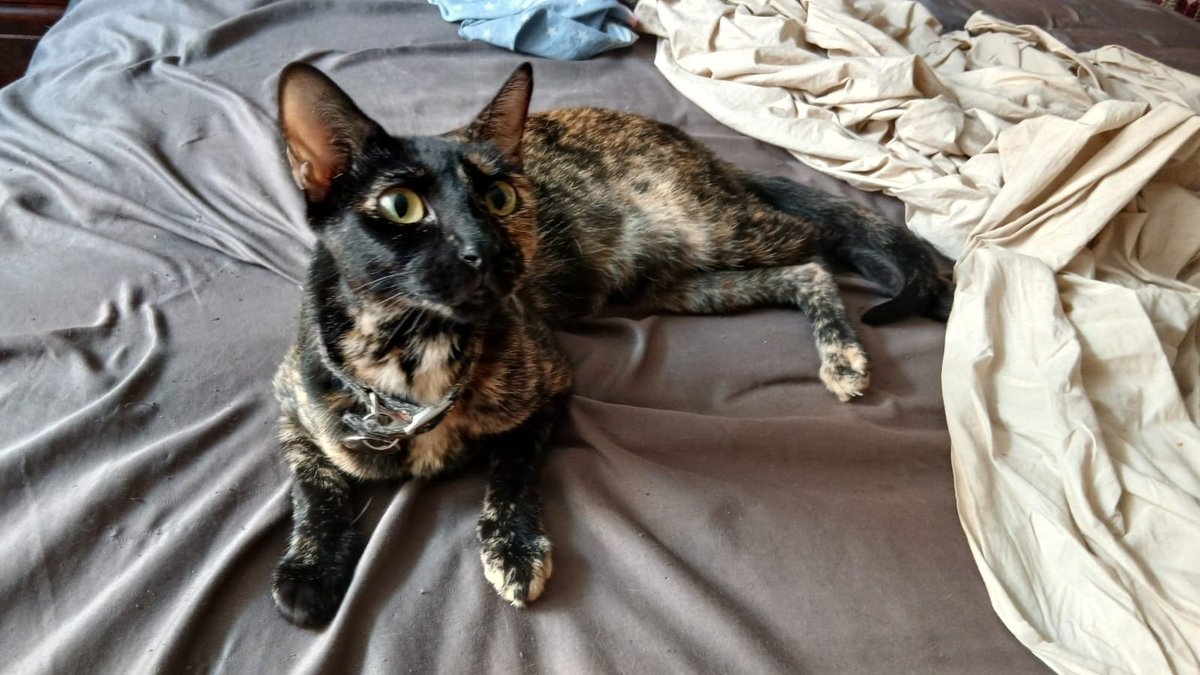 LEV Andres lvs joo tweet media