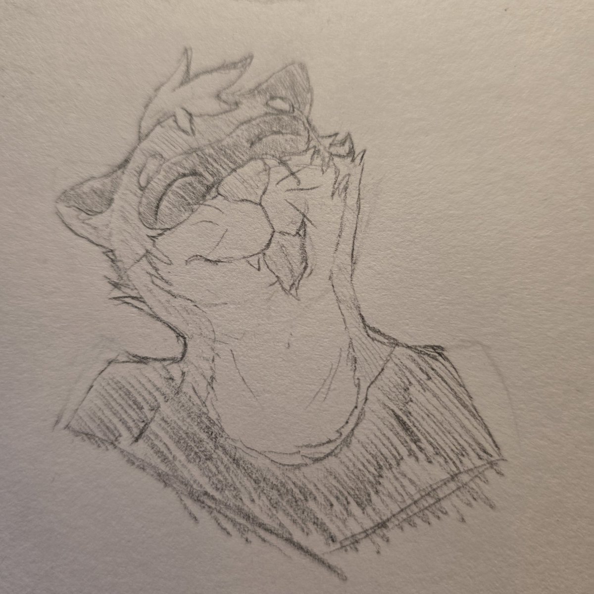 BorkSalt's tweet photo. Im back with my drawing BS! #ferret #furry #furrycharacter #paws #furryart https://t.co/HxGOUN3Kh0