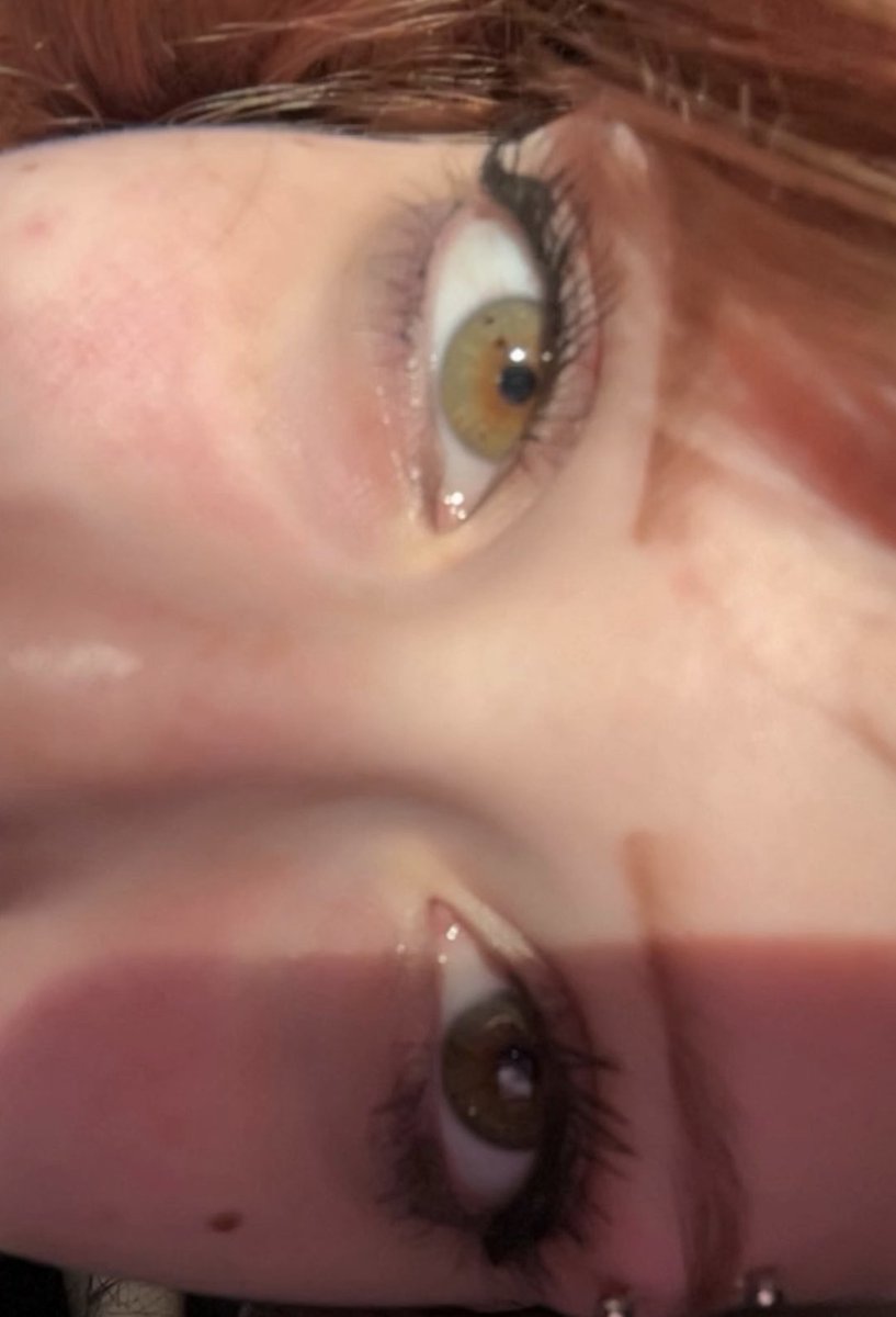 spoofymaru 🌟 tweet media