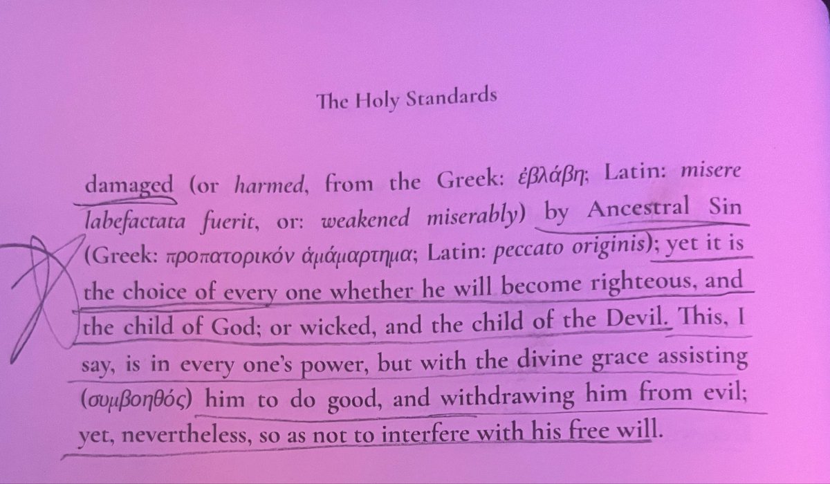 Alex Sorin, JD tweet media