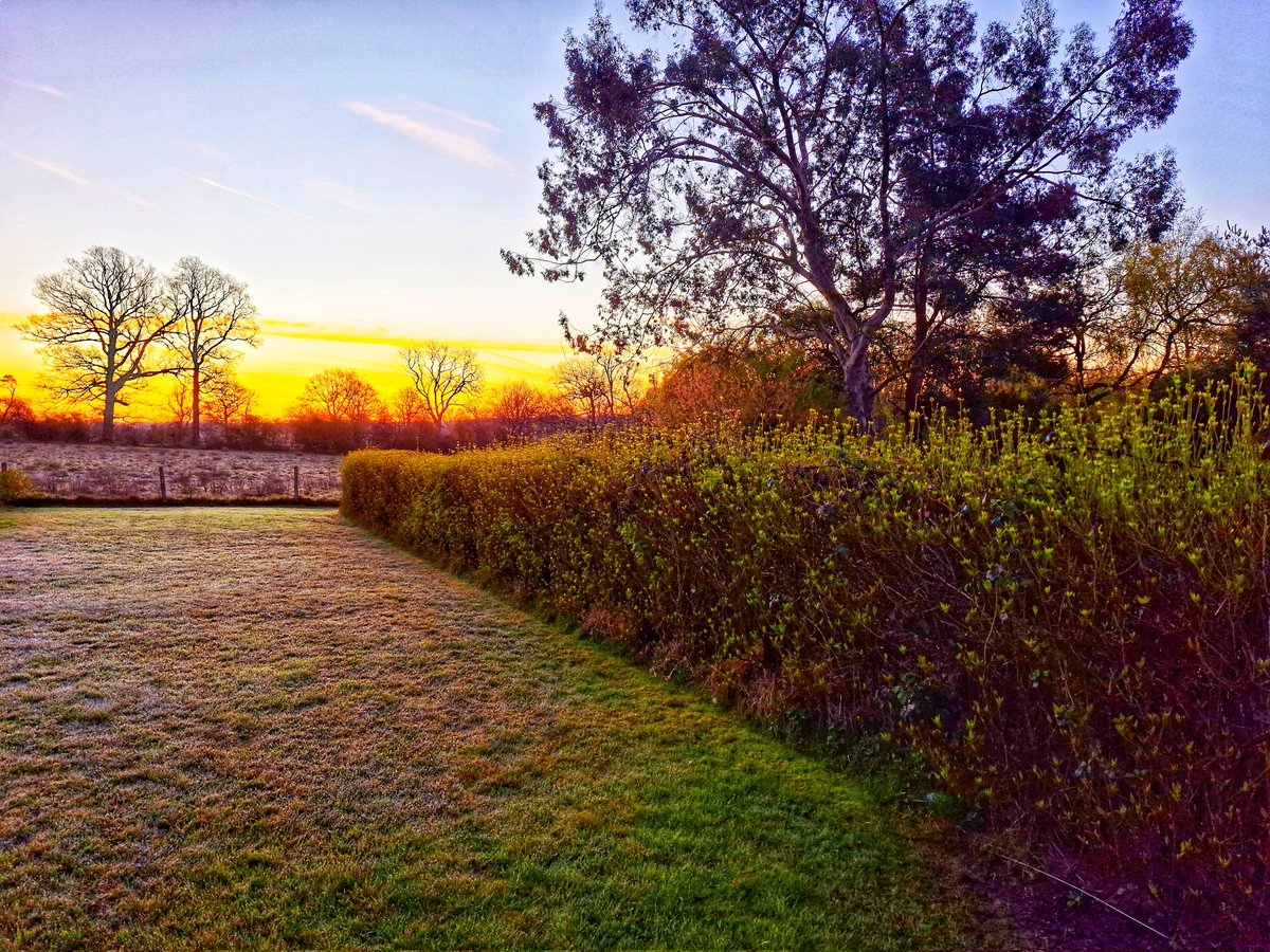 gary parratt tweet media