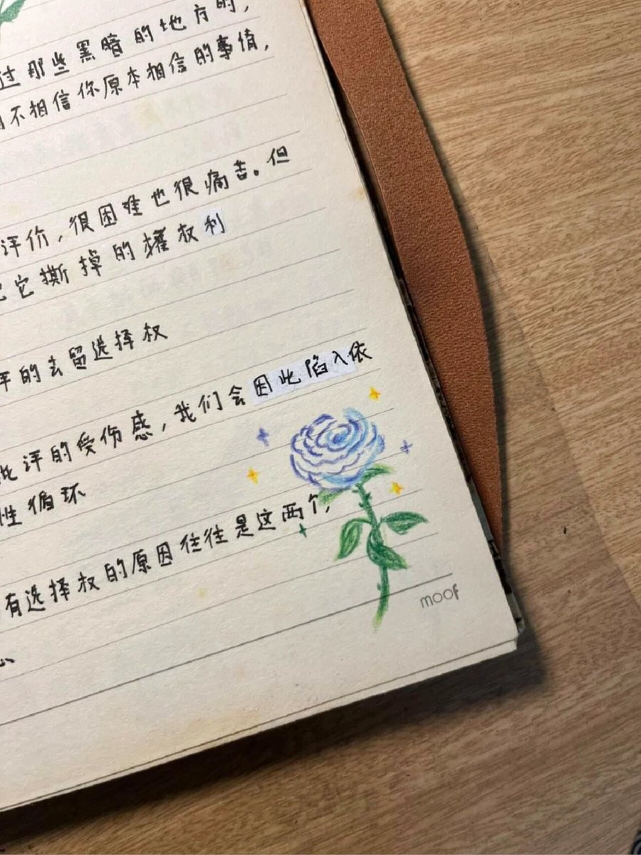 sophia dumpling tweet media