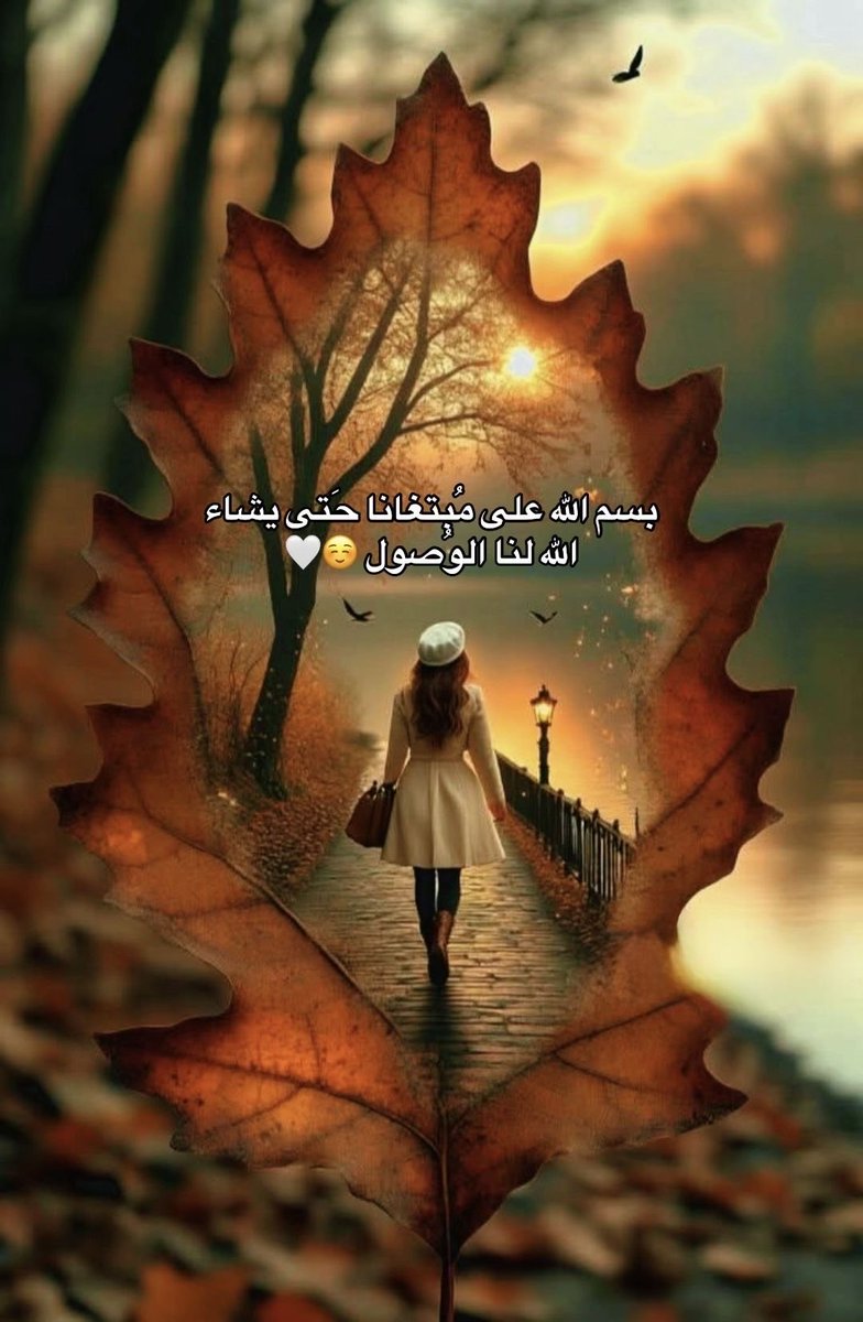 ام نواف tweet media