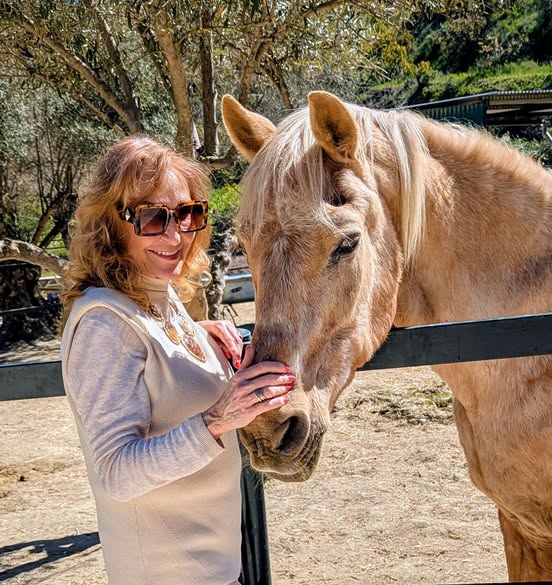 ARCH (Centro Andalucí de Rescate de Caballos) tweet media