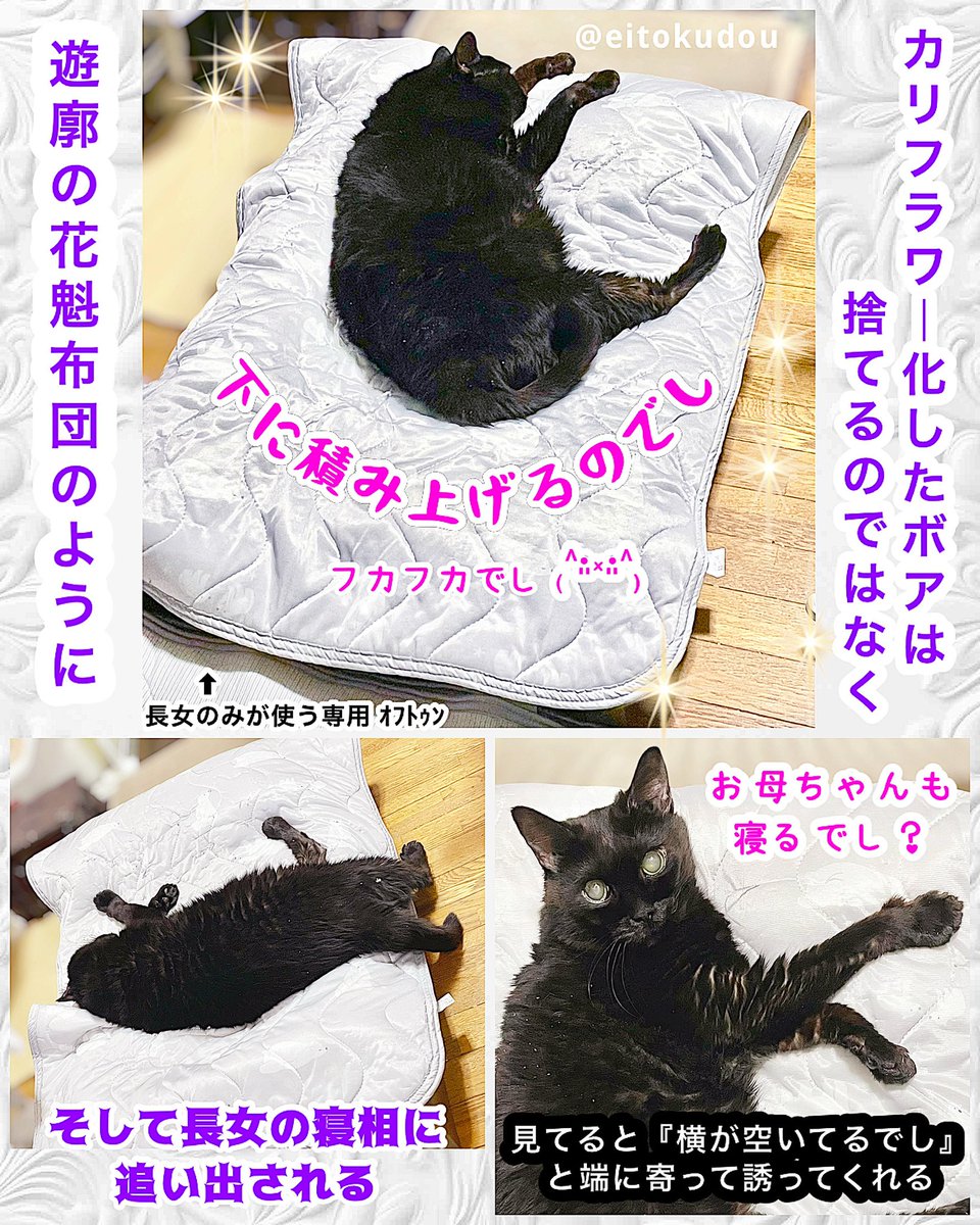 おいも 🍠 𖤣𖥧𖥣𖡡𖥧𖤣 ₍˄·͈༝·͈˄₎ tweet media