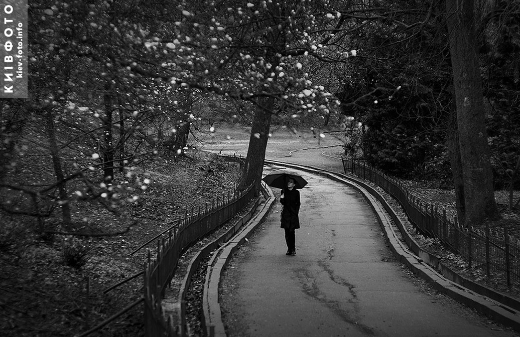 kievfoto's tweet photo. Магнолії у ботсаду Фоміна
#Магнолія
#MagnoliaInBloom
#магноліїукиєві
#SpringInMonochrome
#MagnoliaMood https://t.co/X3MIH5KX2e