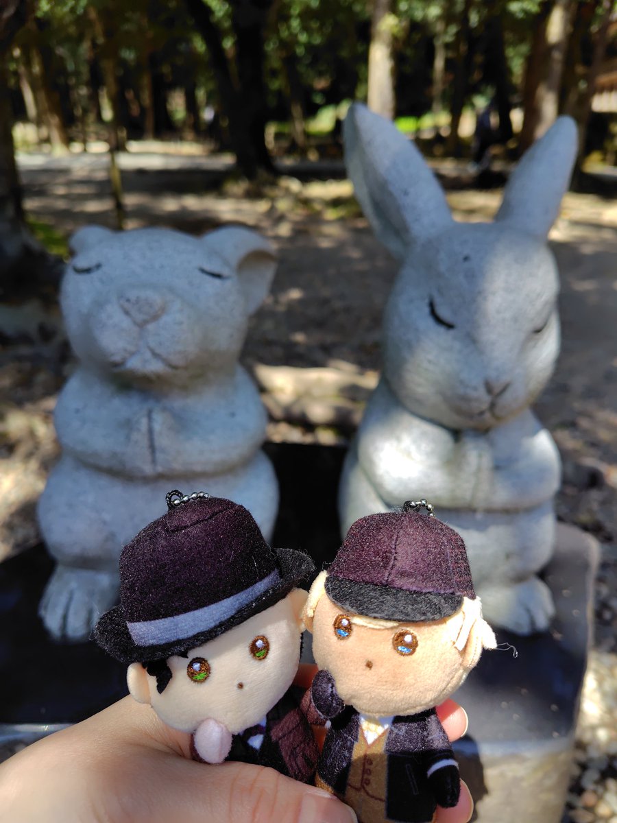 かしわ餅👑 tweet media