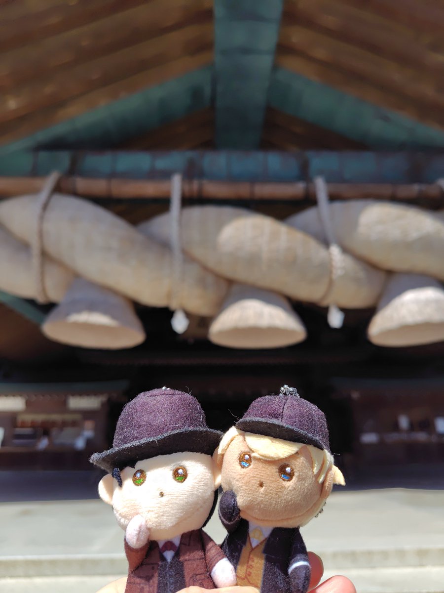 かしわ餅👑 tweet media