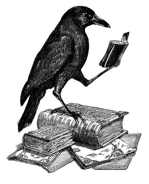 Aɴ֟፝͠𝛂ya🦋 tweet media