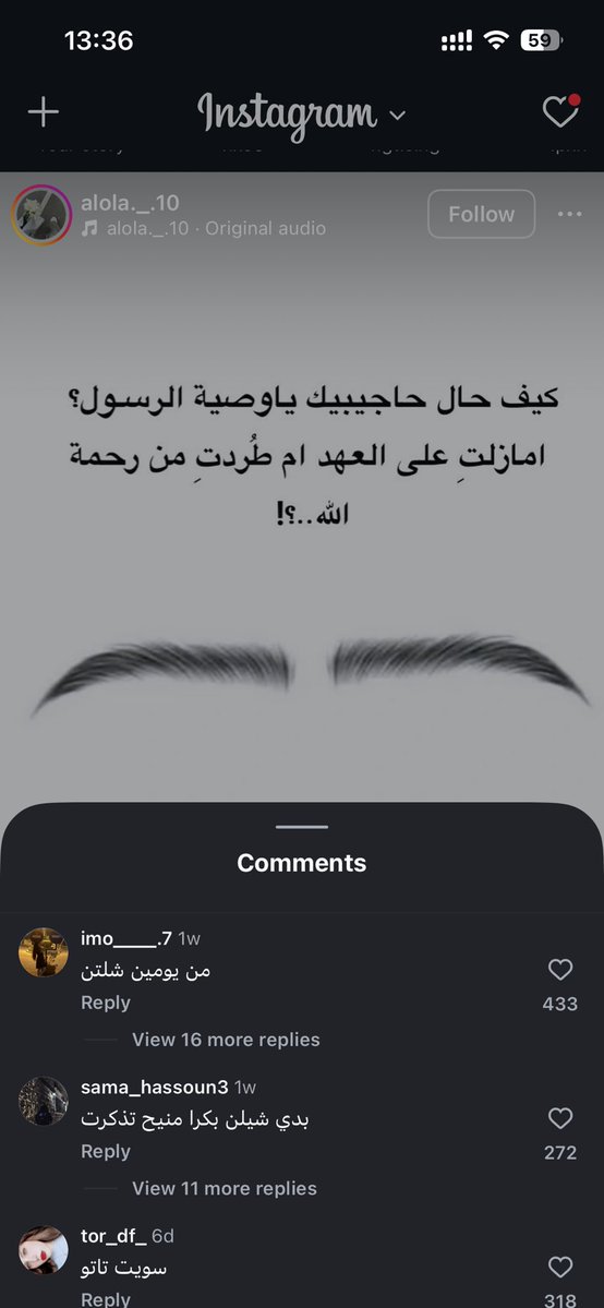 Butterfly tweet media