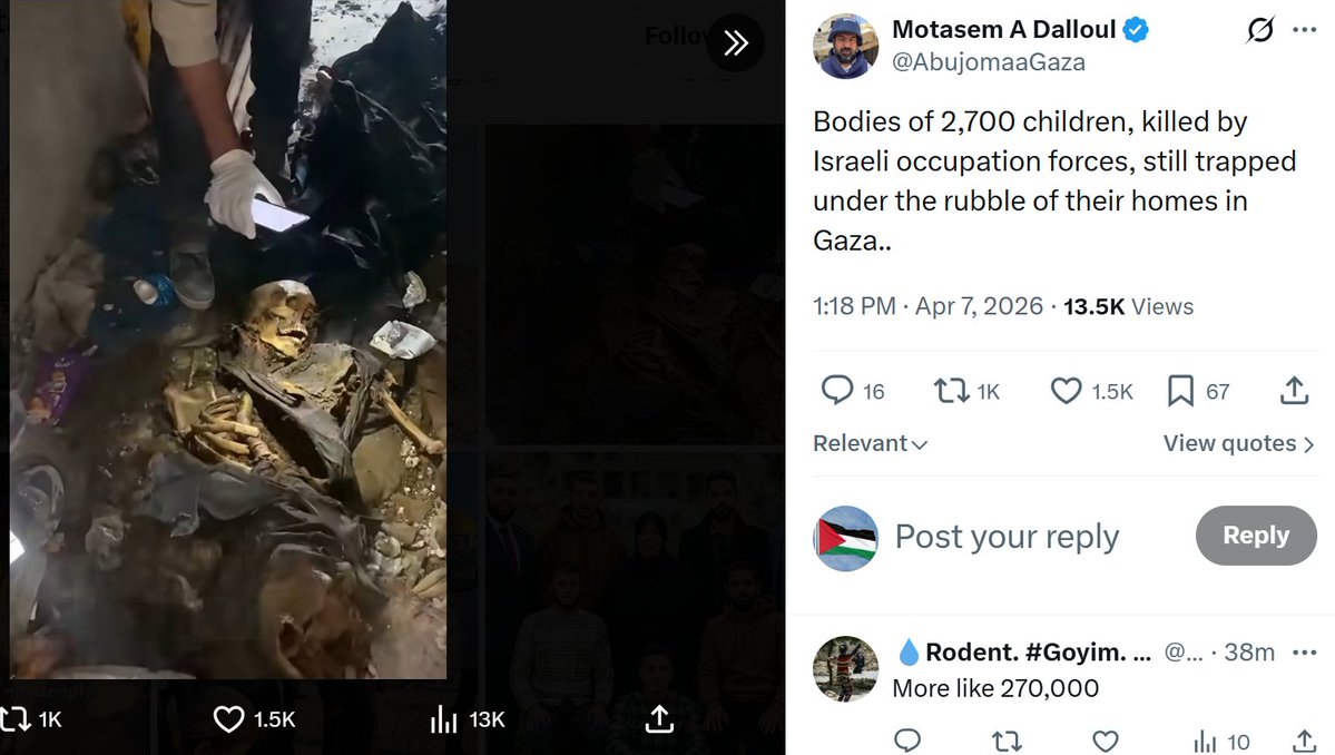 Kate Emerson 🇵🇸 🔻 tweet media