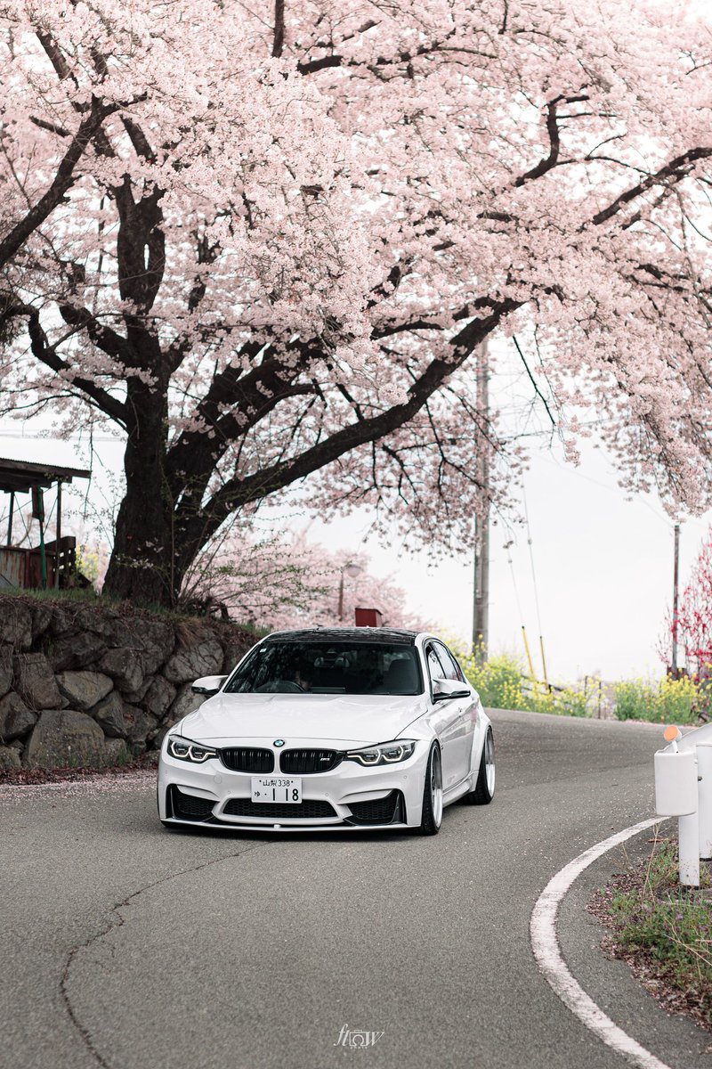 subaru_180's tweet photo. 🌸 https://t.co/eYNZwmu5Li