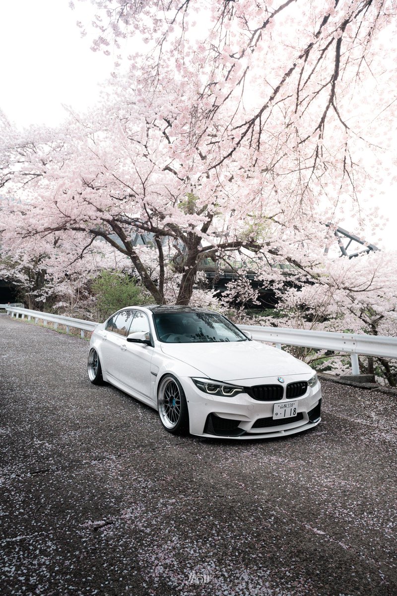 subaru_180's tweet photo. 🌸 https://t.co/eYNZwmu5Li