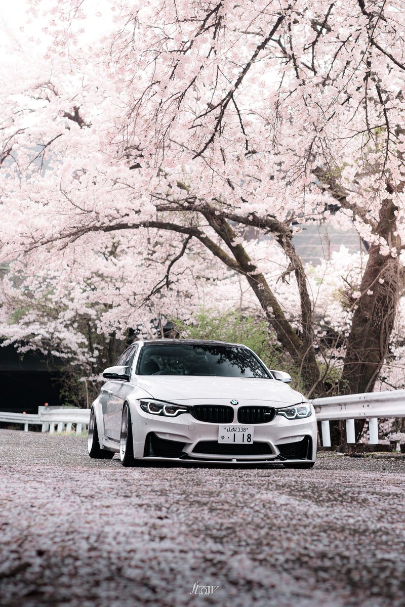 subaru_180's tweet photo. 🌸 https://t.co/eYNZwmu5Li