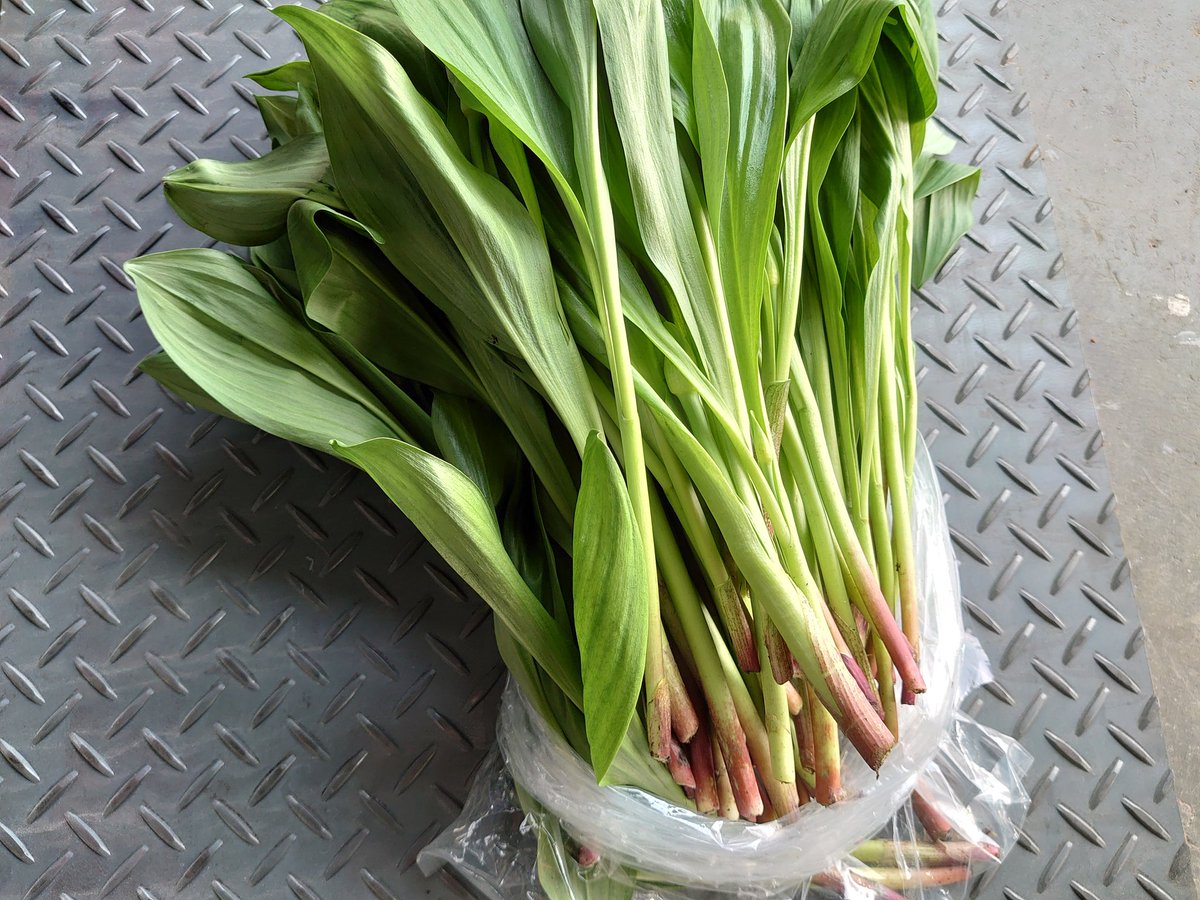 しんぷうサブ tweet media