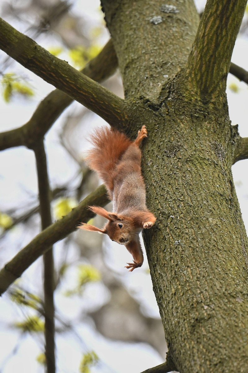 Miasto Katowice tweet media