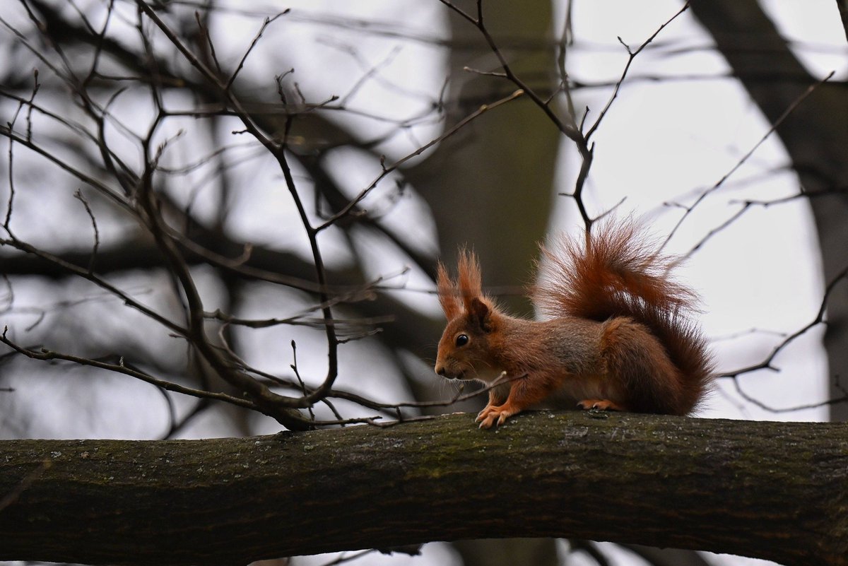 Miasto Katowice tweet media