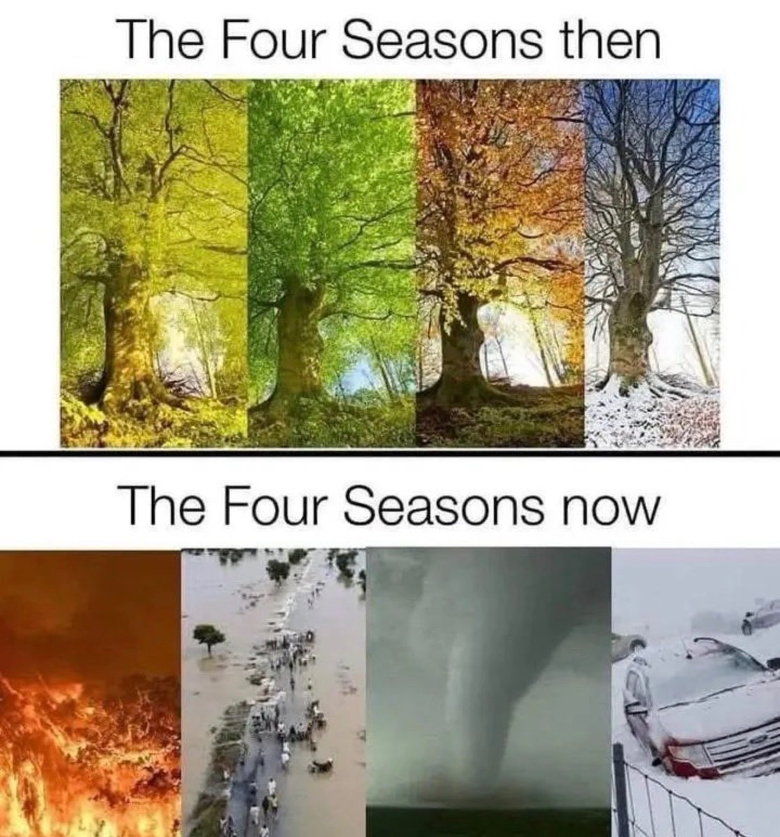 Out of Context Human Race tweet media