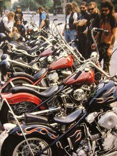 KANSAS BORN tweet media