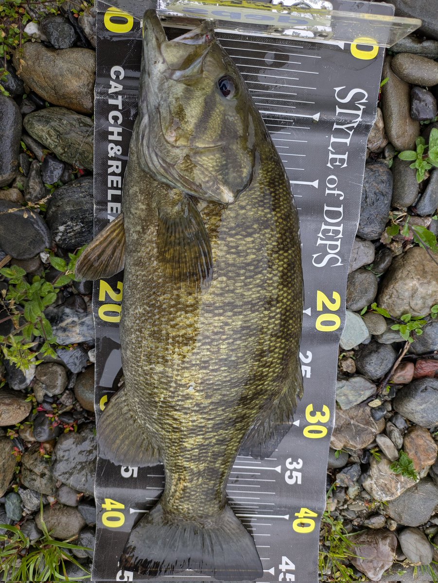 うちゅう tweet media