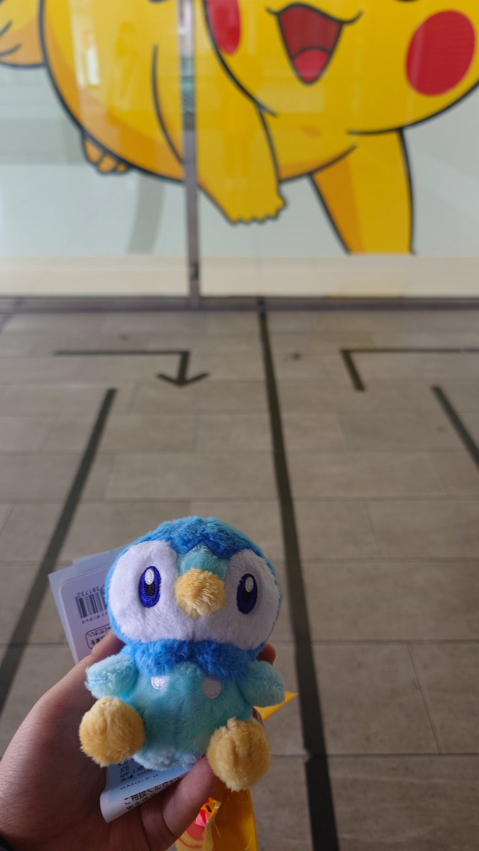 Runo2789's tweet photo. 最近買いました！🐧🩵
#ポケモン https://t.co/7jyP11PrBH