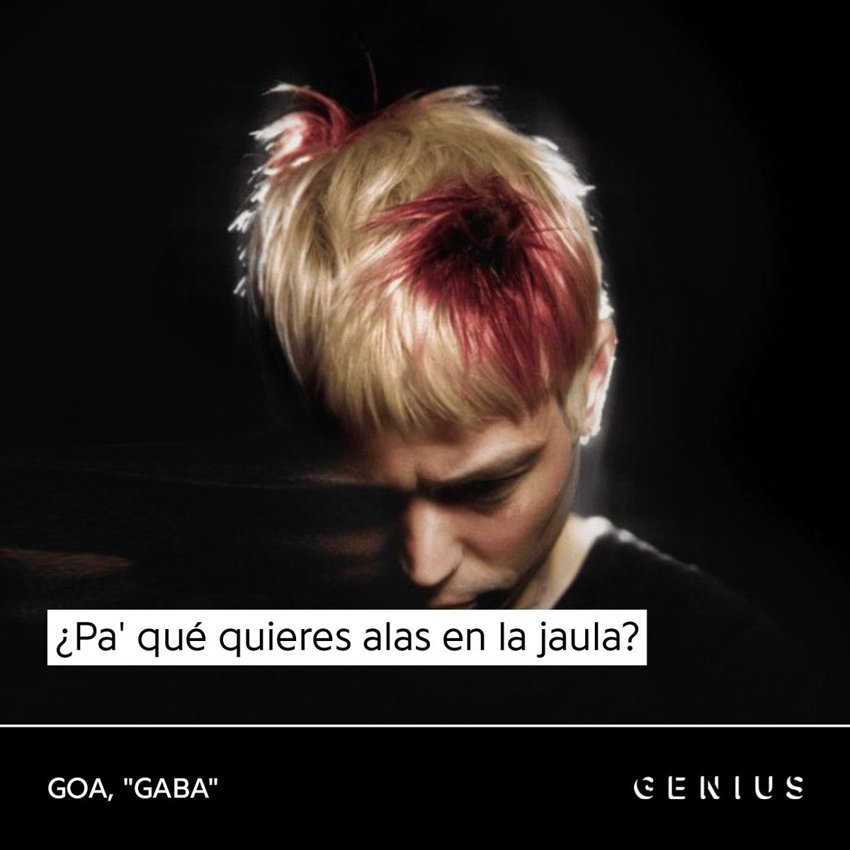 LightSnowyBoy 📿 tweet media