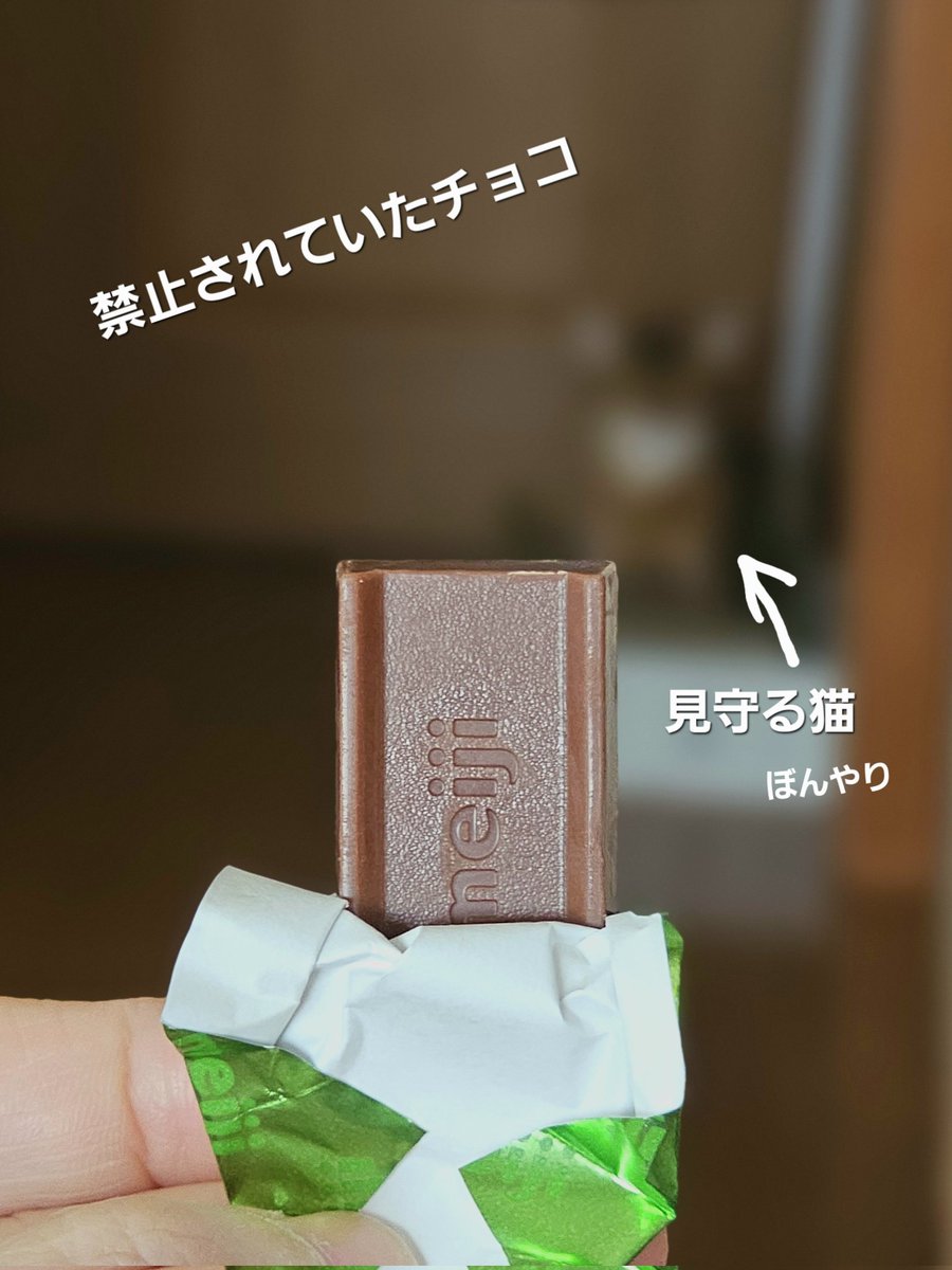 【感謝✨】
手術、無事終了しました！
手術に向け身体のあらゆるところを検査・治療したことで病前より健康体になった気がします。心配して下さった皆様、心よりありがとうございました。様々な学びを得たので今後ポストでシェアしますね。例「大腸検査前日の満足レシピ」とか
(無胆嚢人間栄華)