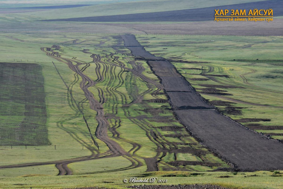 tuugii🕊️ tweet media