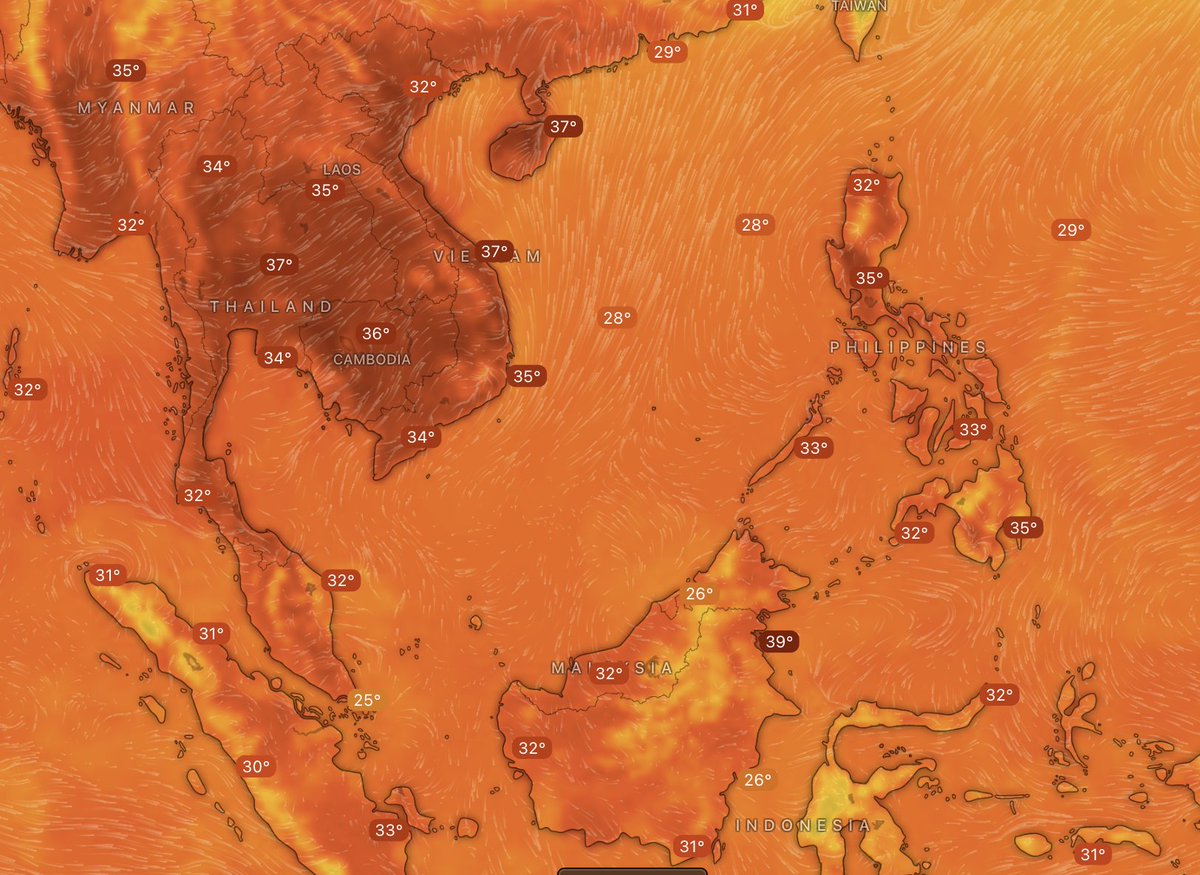 ScienceKonek tweet media