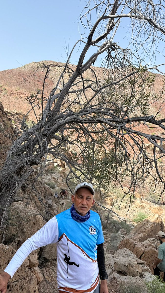 منصة الولايات الالكترونية tweet media