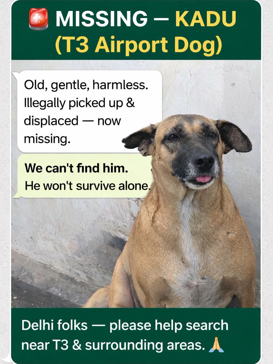 Narender Yadav 🇮🇳 tweet media