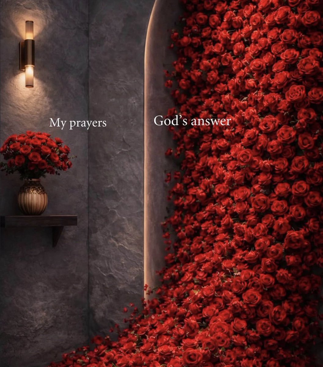 H’s mom (@aiishadahir) on Twitter photo 