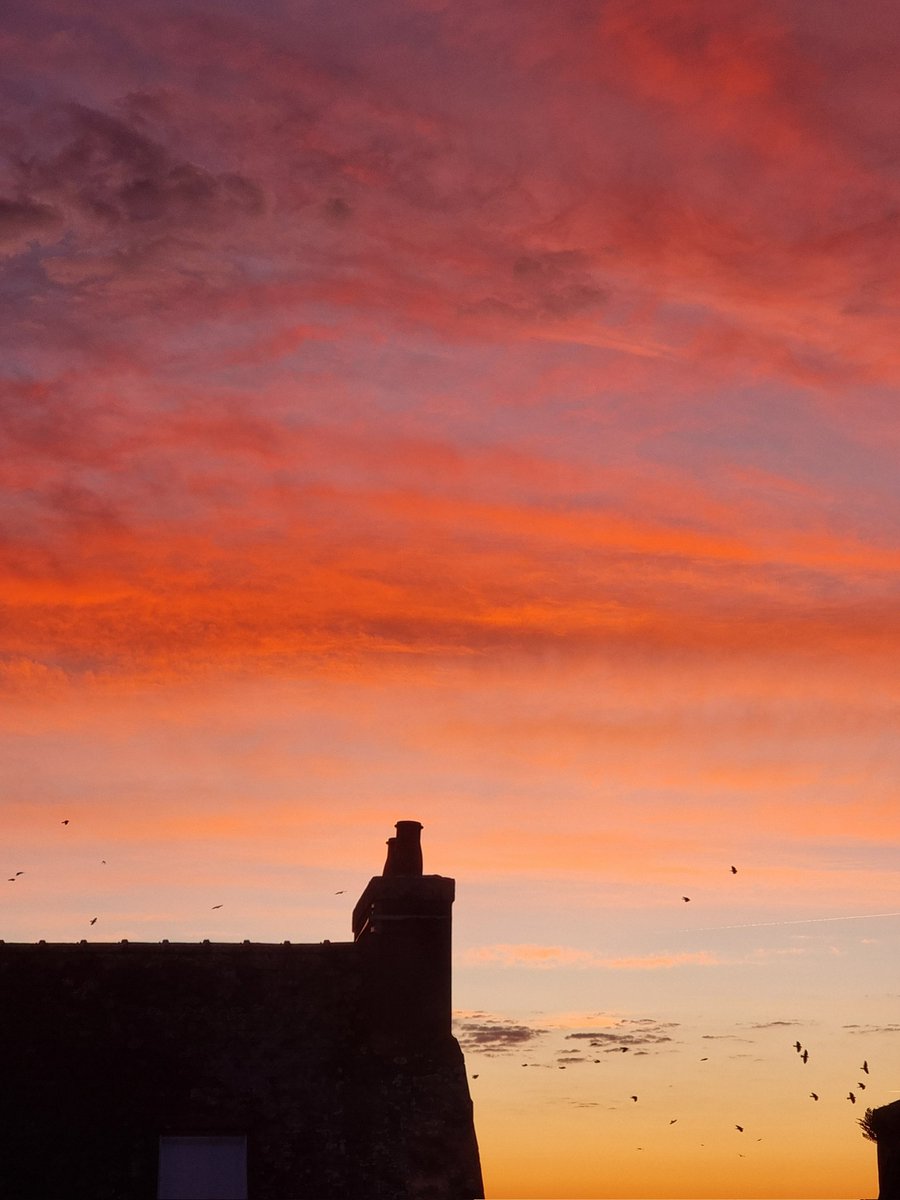 ⚓ CéLine Made In Bzh tweet media