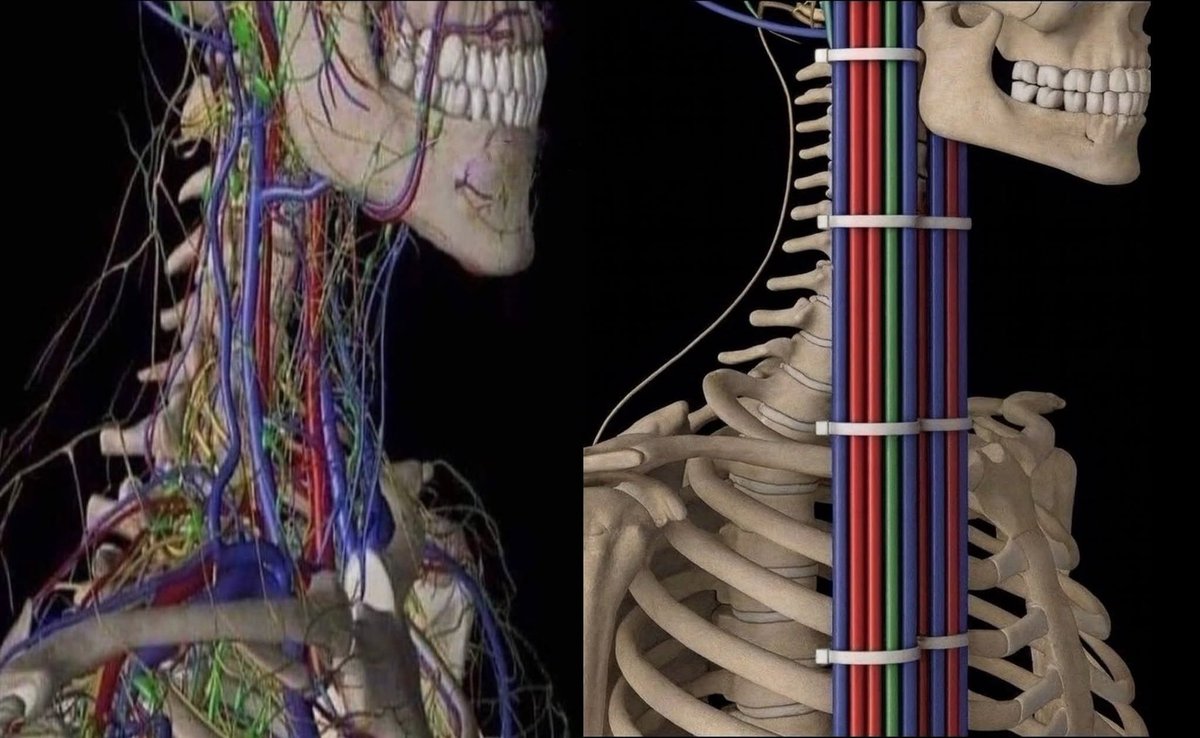 Biggy Boy tweet media