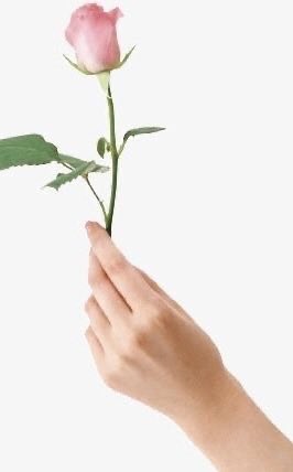 あずき tweet media