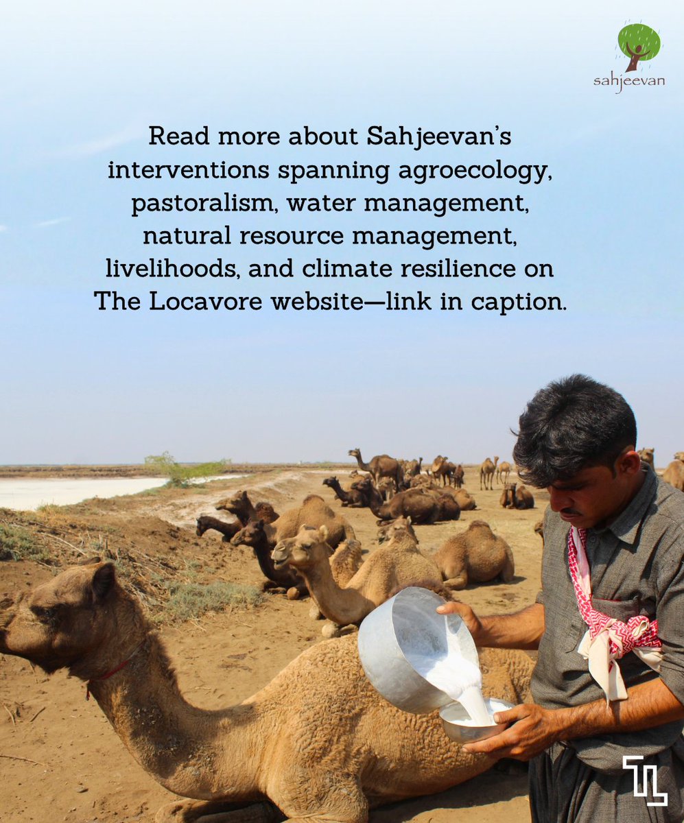 The Locavore tweet media