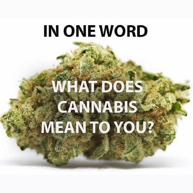 Stoner Jesus™ tweet media