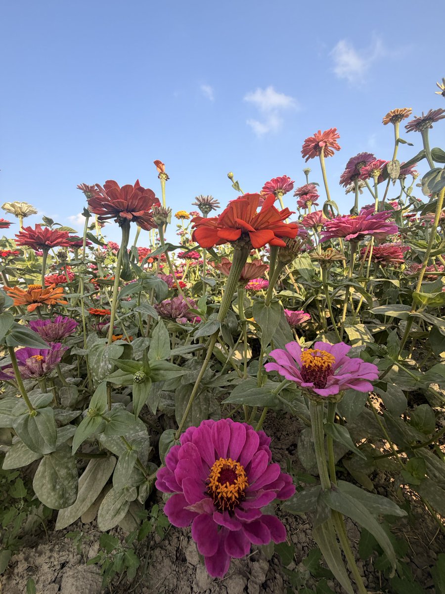 28歲小冉 tweet media