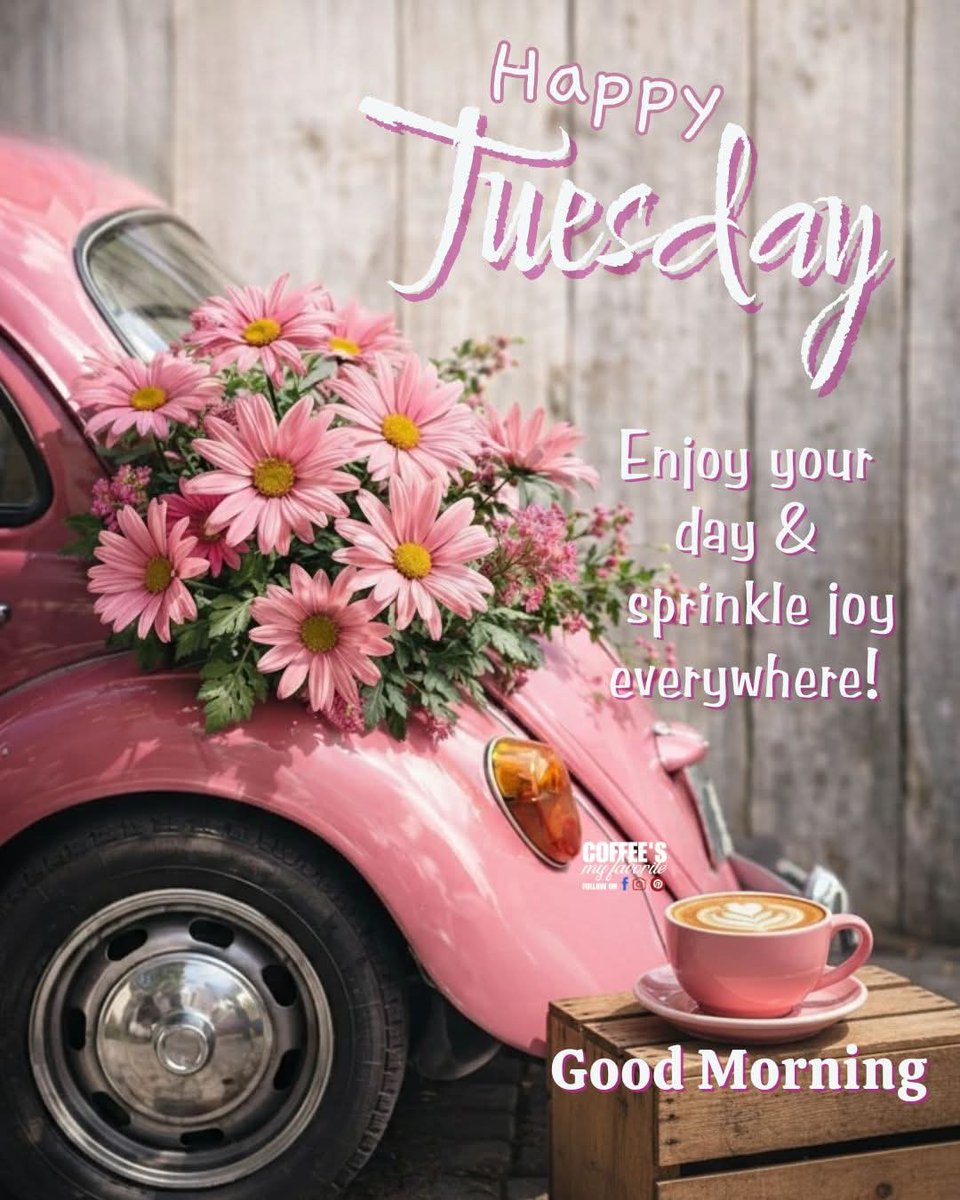 🦋🪷 ʂąr℘℘ą 🪷🦋 tweet media