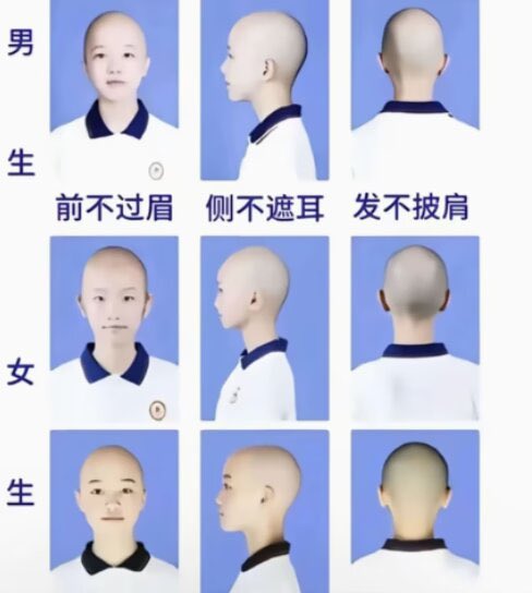 サイバー環状線 tweet media