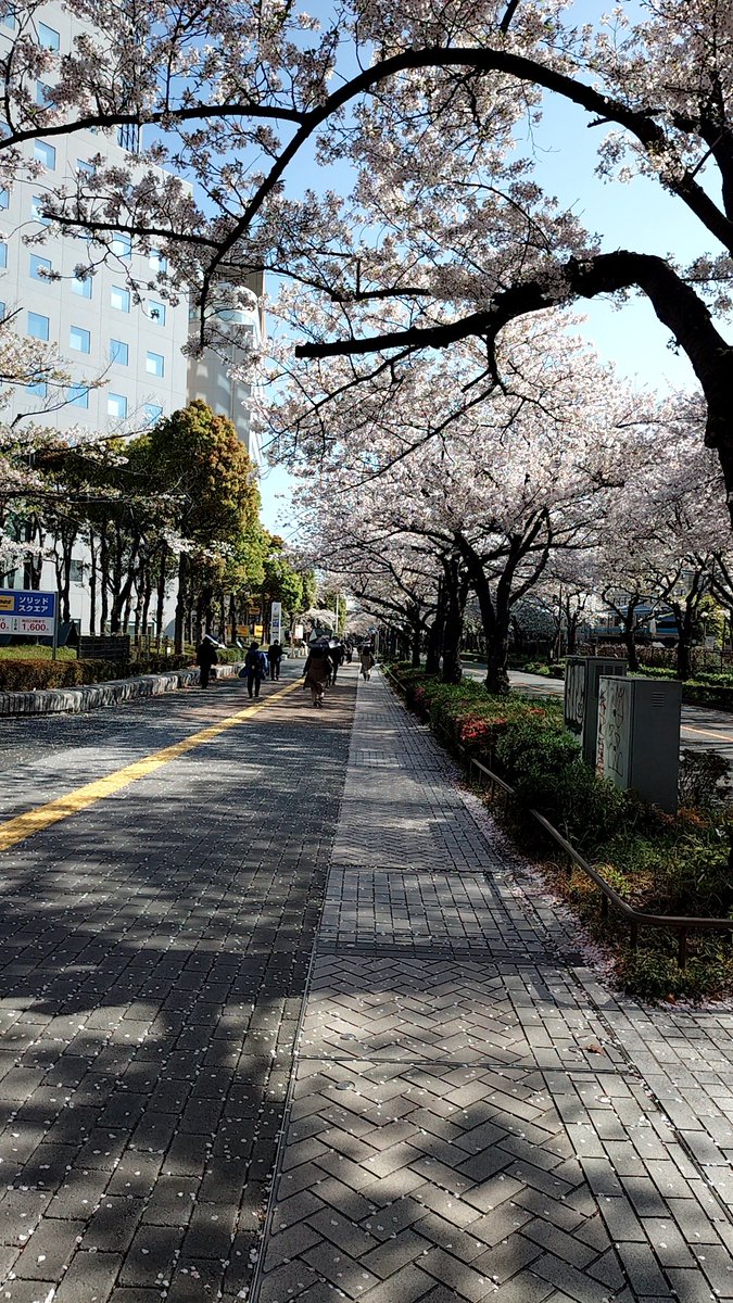 reon987 tweet picture