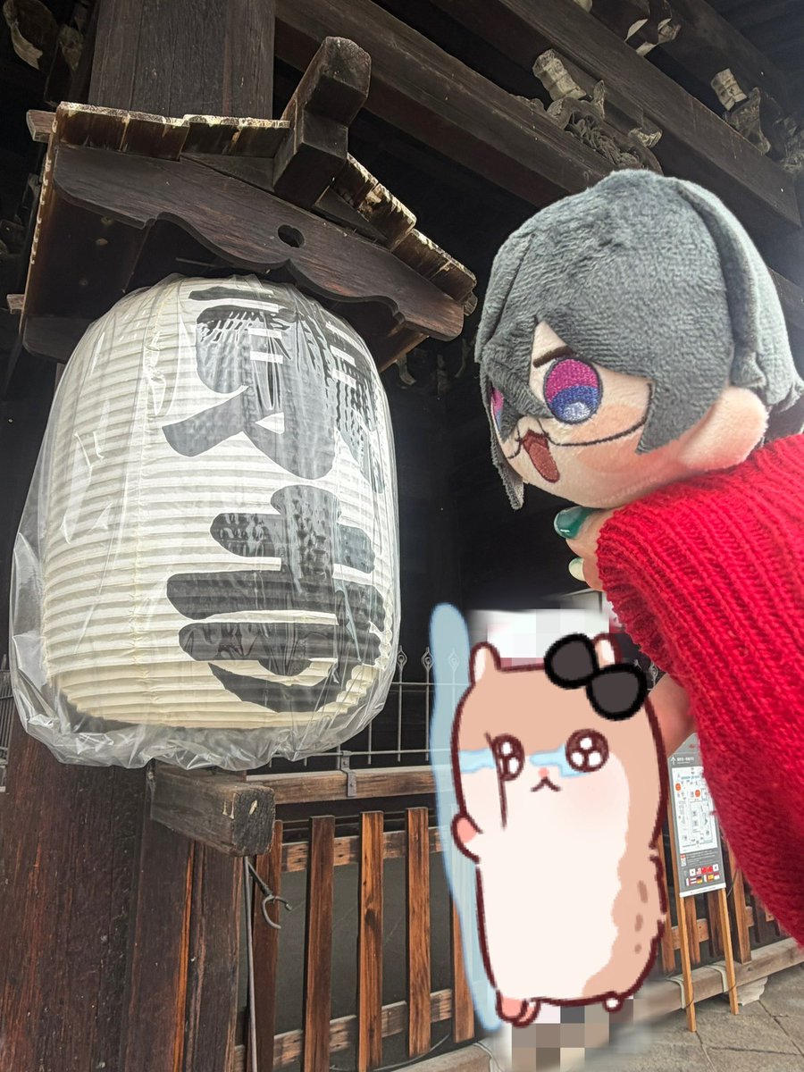 ちょこび⁉️ tweet media