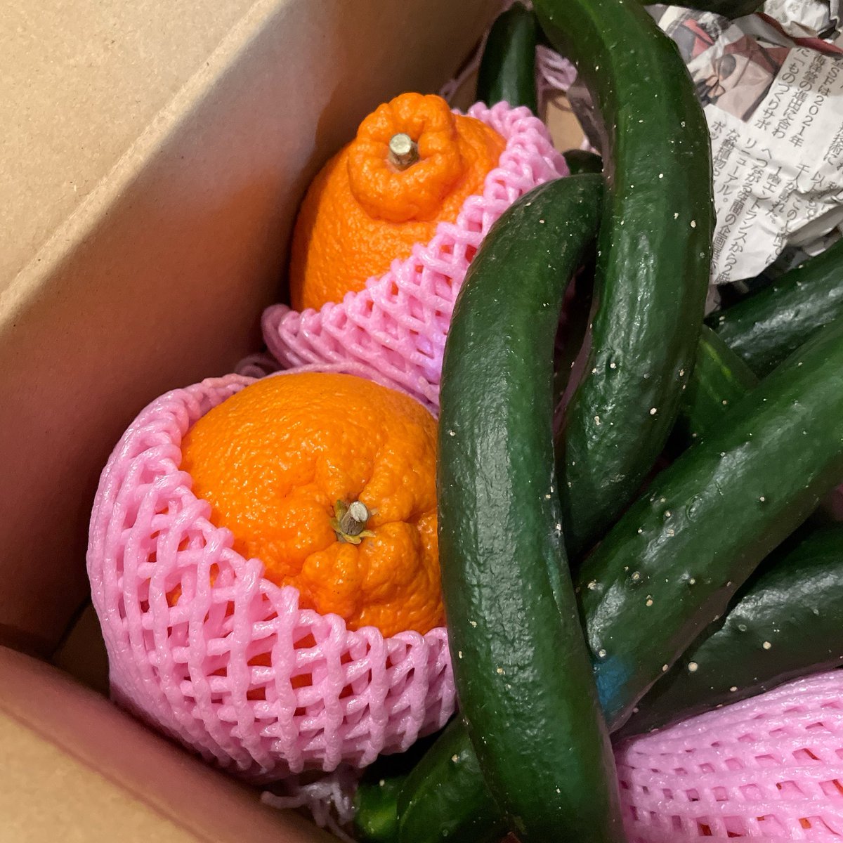 如月　萌【ハッカ】/Ahwooo tweet media