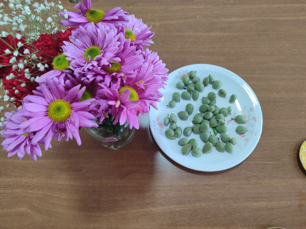 Sabah sabah öğretmenler odasının güzelliği 😍😋
Günaydınnnn🤗
#günaydın